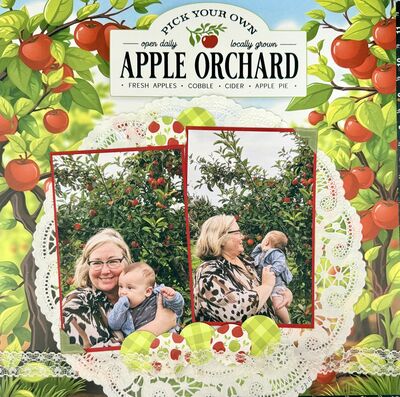 Apple Orchard
